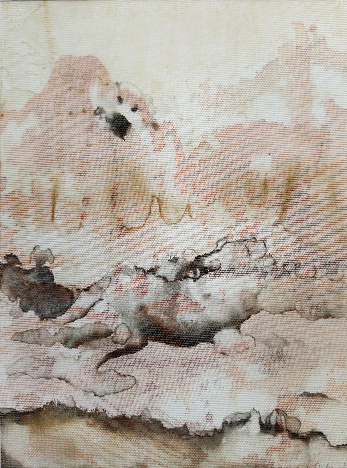 10 TEORIE Landscape 4 2026