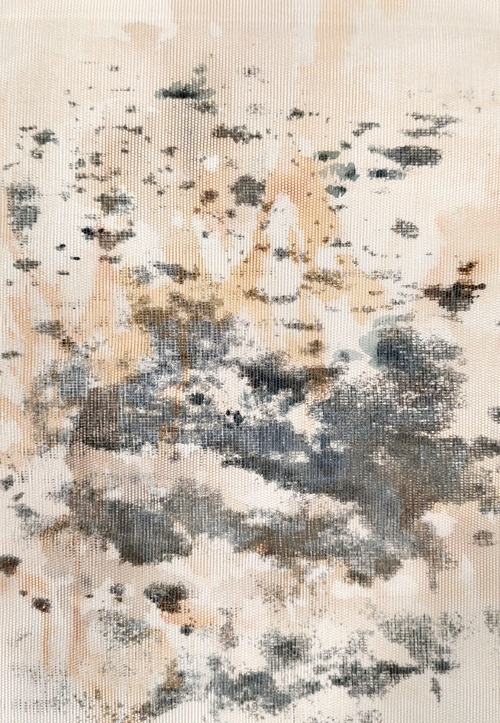 14 TEORIE Landscape 11 2026